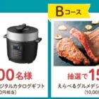 カタログギフト / えらべるPay 1,000円分