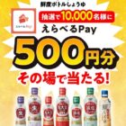 10,000名様にその場でえらべるPayが当たるクローズドキャンペーン