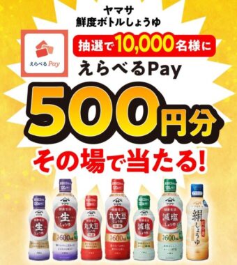 10,000名様にその場でえらべるPayが当たるクローズドキャンペーン