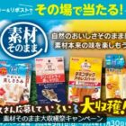 ペティオの「素材そのまま」詰め合わせセットがその場で当たるキャンペーン