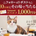 Amazonギフトカード1,000円分がその場で当たるXキャンペーン