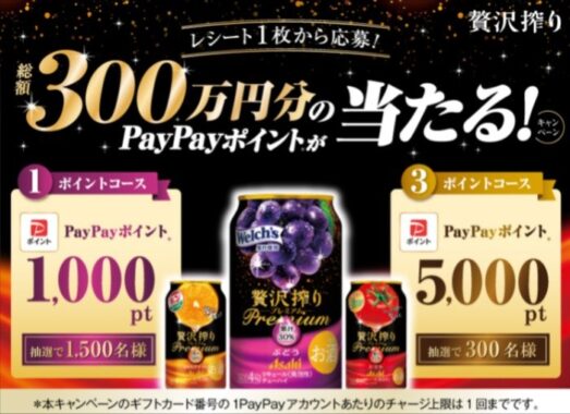 総額300万円分のPayPayポイントが当たる、アサヒビールの大量当選キャンペーン