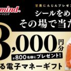 電子マネーギフト 最大3,000円分