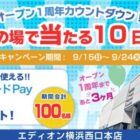 エディオンで使えるQUOカードPay500円分が100名様に当たるキャンペーン