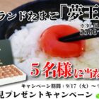 ブランドたまご「夢王」5,500円相当