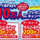 えらべるPay 最大200ポイント