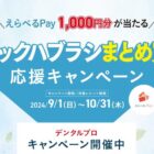 えらべるPay 1,000円分