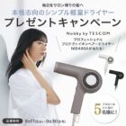 プロフェッショナル プロテクトイオン ヘアードライヤー NIB400A