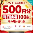 えらべるPay 500円相当