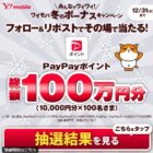 PayPayポイント 10,000円分