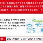 ドラッグストア専用QUOカードPay 300円分