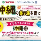 沖縄のサンゴ再生プログラムに参加できる特別体験が当たるキャンペーン