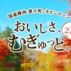 日本ハム 加工商品詰め合わせ 1,500円相当 / 電子ギフト 1,000円分 / 低温調理機＆麦小町肩ロース 約2kg