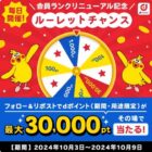 最大3,000dポイント