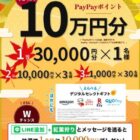 PayPayポイント 最大30,000円分