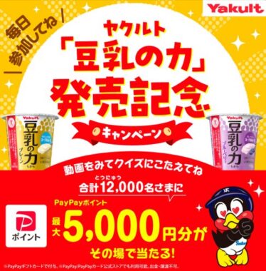 12,000名様にその場でPayPayポイントが当たるLINEキャンペーン