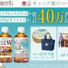 葬送のフリーレン オリジナルグッズやPayPayポイントなどが当たるキャンペーン