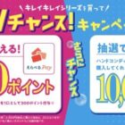 えらべるPay 1万円分 / えらべるPay 最大900円分