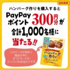 PayPayポイント 300円分