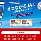 毎月開催！JAL往復航空券が当たるX投稿キャンペーン