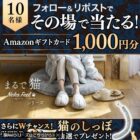 Amazonギフトカード1,000円分がその場で当たるXキャンペーン