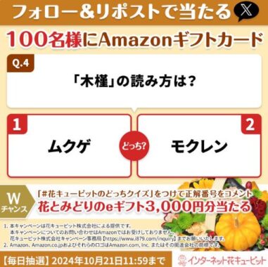 Amazonギフトカード500円分がその場で当たるXキャンペーン