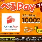 えらべるPay 1,000円分