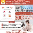 えらべるPay 300円分