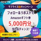 Amazonギフトカード5,000円分