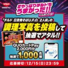 QUOカードPay 2,000円分