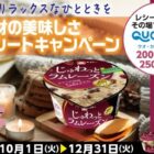 QUOカードPay 2,000円分 / BRUNO アルマディフューザー