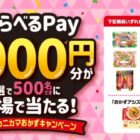 えらべるPay 1,000円分