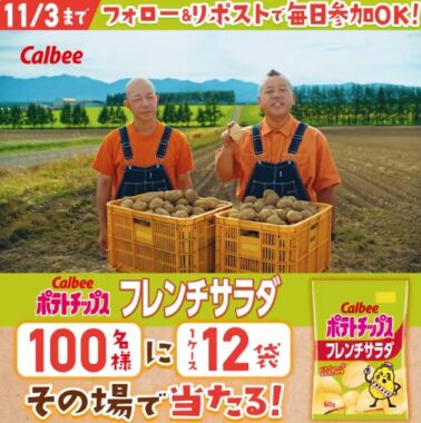 ポテトチップスフレンチサラダ 1ケースがその場で当たるキャンペーン