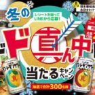 JTBトラベルギフト 5,000円分 / 博多華味鳥水炊きセット / 天然伊勢海老 / 近江牛