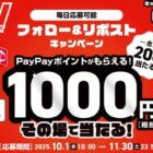 PayPayポイント 1,000円分