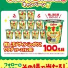 じゃがりこサラダ 1ケース