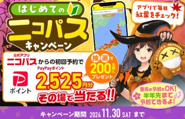 PayPayポイント2,525円分がその場で当たる、ニコニコレンタカーのお得なキャンペーン