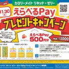 えらべるPay 500円分