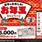 現金5,000円が500名様分に当たる、伊藤ハムのお年玉キャンペーン