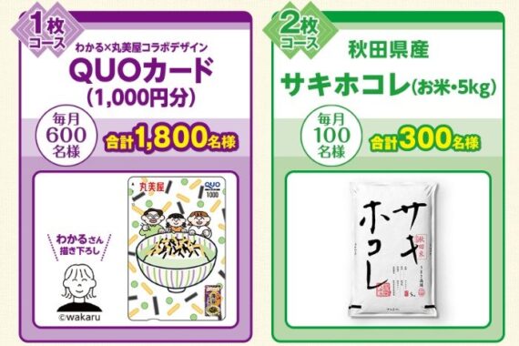 毎月抽選！Wチャンスもアリ！QUOカードやお米が当たる丸美屋のハガキ懸賞