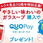 1,000名様にQUOカードPayが当たる大量当選クローズド懸賞