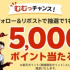 楽天ポイント 5,000円分