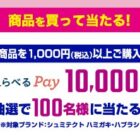 えらべるPay 10,000円分