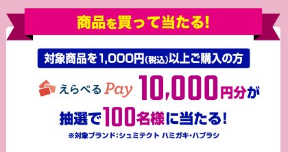 えらべるPay10,000円分が当たる、シュミテクト購入キャンペーン