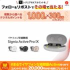 デジタルポイント 1,000円分