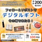 デジタルカタログギフト / えらべるPay 100円分