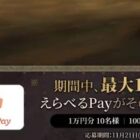 最大10,000円分のえらべるPayが1,010名様に当たるキャンペーン