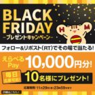 えらべるPay 10,000円分