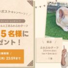 人工芝専門店のリアル人工芝「ふわふわターフ」が5名様に当たるX懸賞