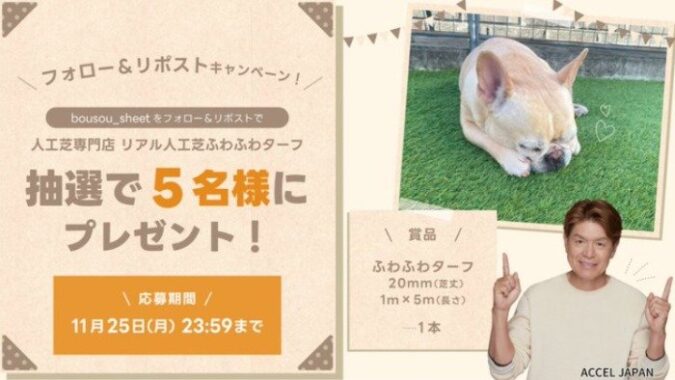 人工芝専門店のリアル人工芝「ふわふわターフ」が5名様に当たるX懸賞